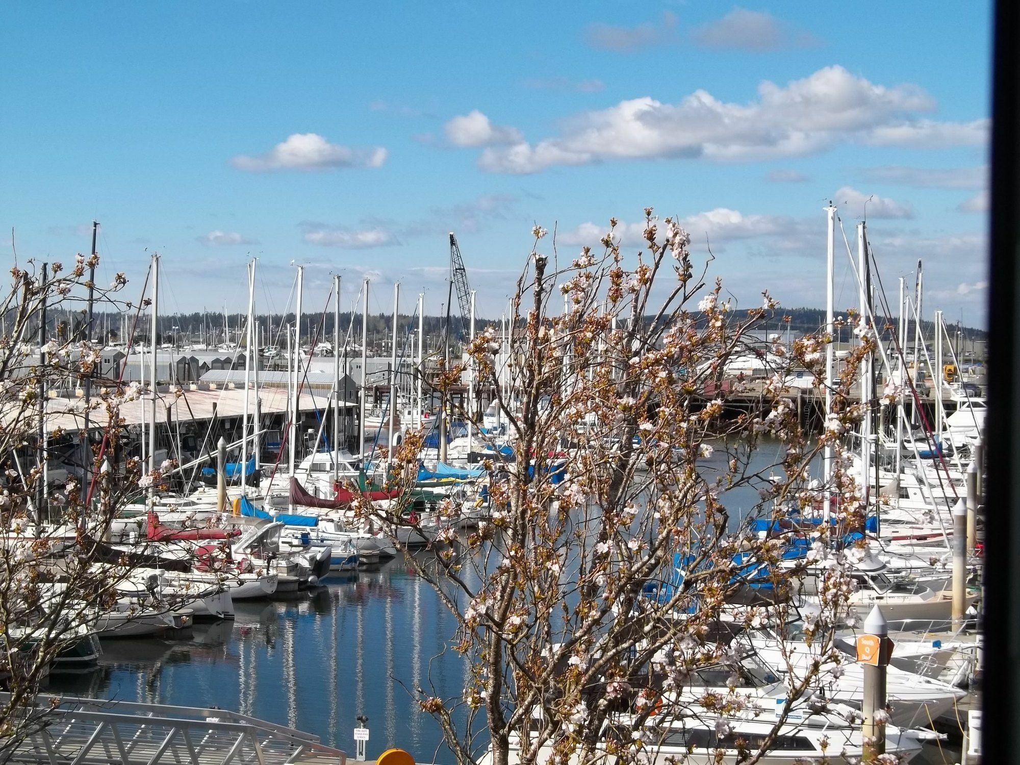 Inn At Port Gardner-Everett Waterfront, Ascend Hotel Collection Zewnętrze zdjęcie